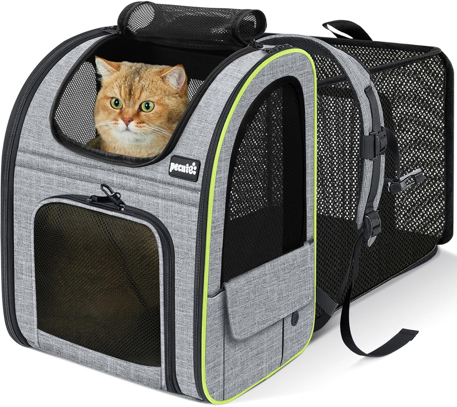 https://cdn.shopify.com/s/files/1/1003/1841/3135/files/81JG9pL8AsL._AC_SL1500.jpg?v=1772391088