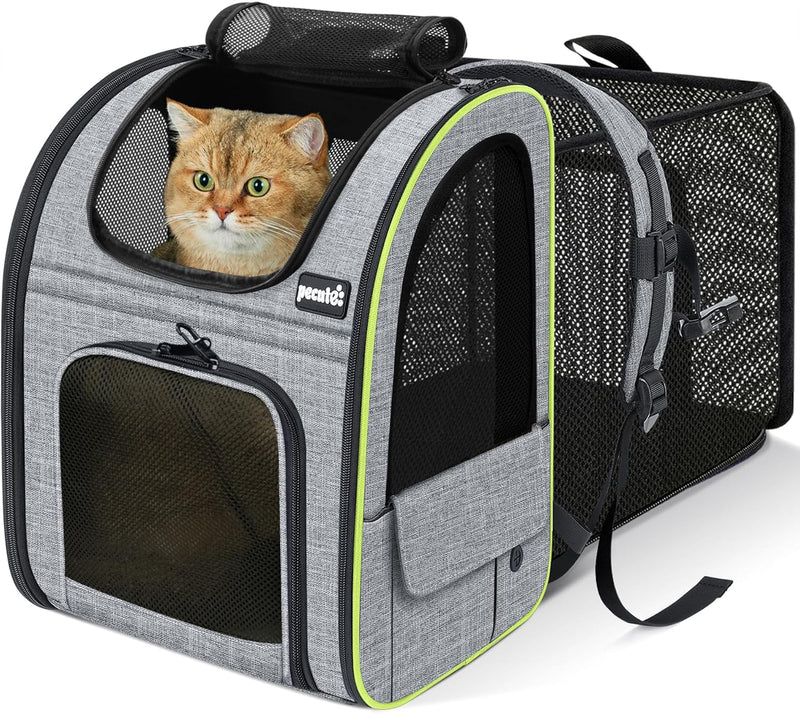https://cdn.shopify.com/s/files/1/1003/1841/3135/files/81JG9pL8AsL._AC_SL1500.jpg?v=1772391088