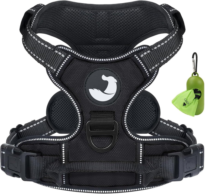 https://cdn.shopify.com/s/files/1/1003/1841/3135/files/81b-cLe0rkL._AC_SL1500.jpg?v=1772399021