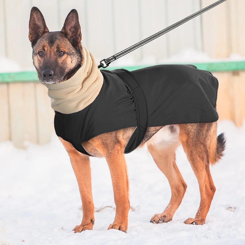 Manteau chien col fourrure