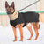 Manteau chien col fourrure - Gros-Chien.com