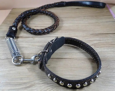 Collier laisse chien cuir tresse