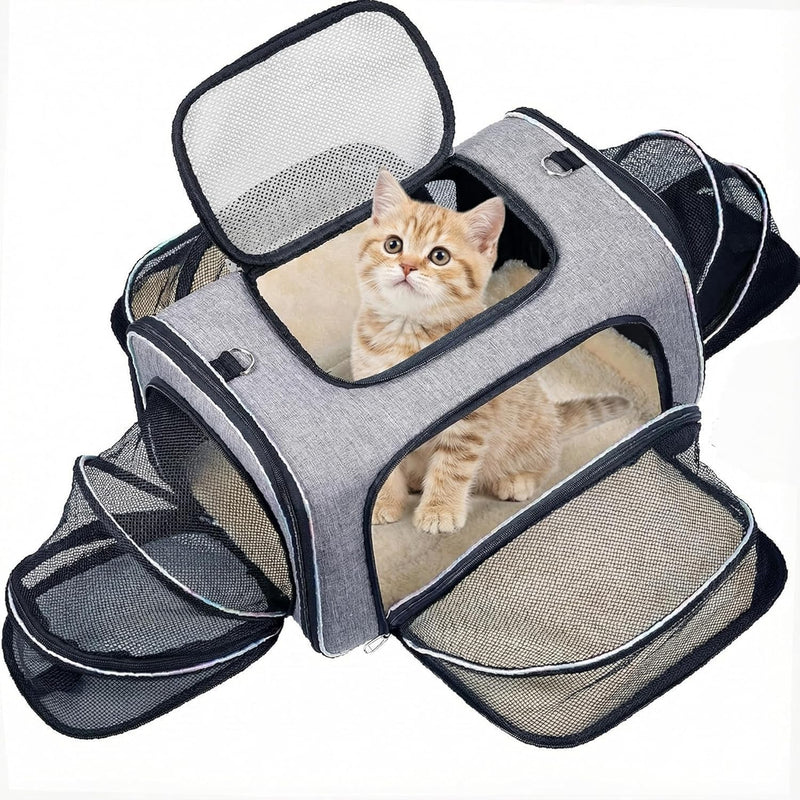 https://cdn.shopify.com/s/files/1/1003/1841/3135/files/91uyJuY8pXL._AC_SL1500.jpg?v=1772391064