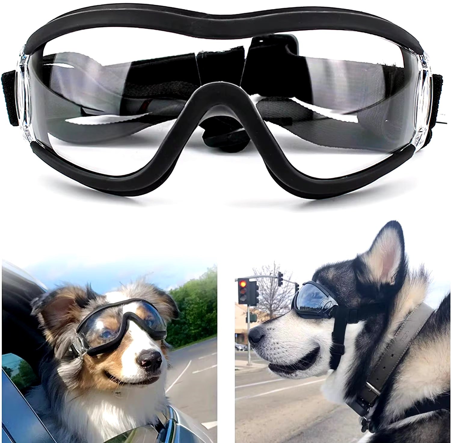 Lunette chien scooter - Gros-Chien.com