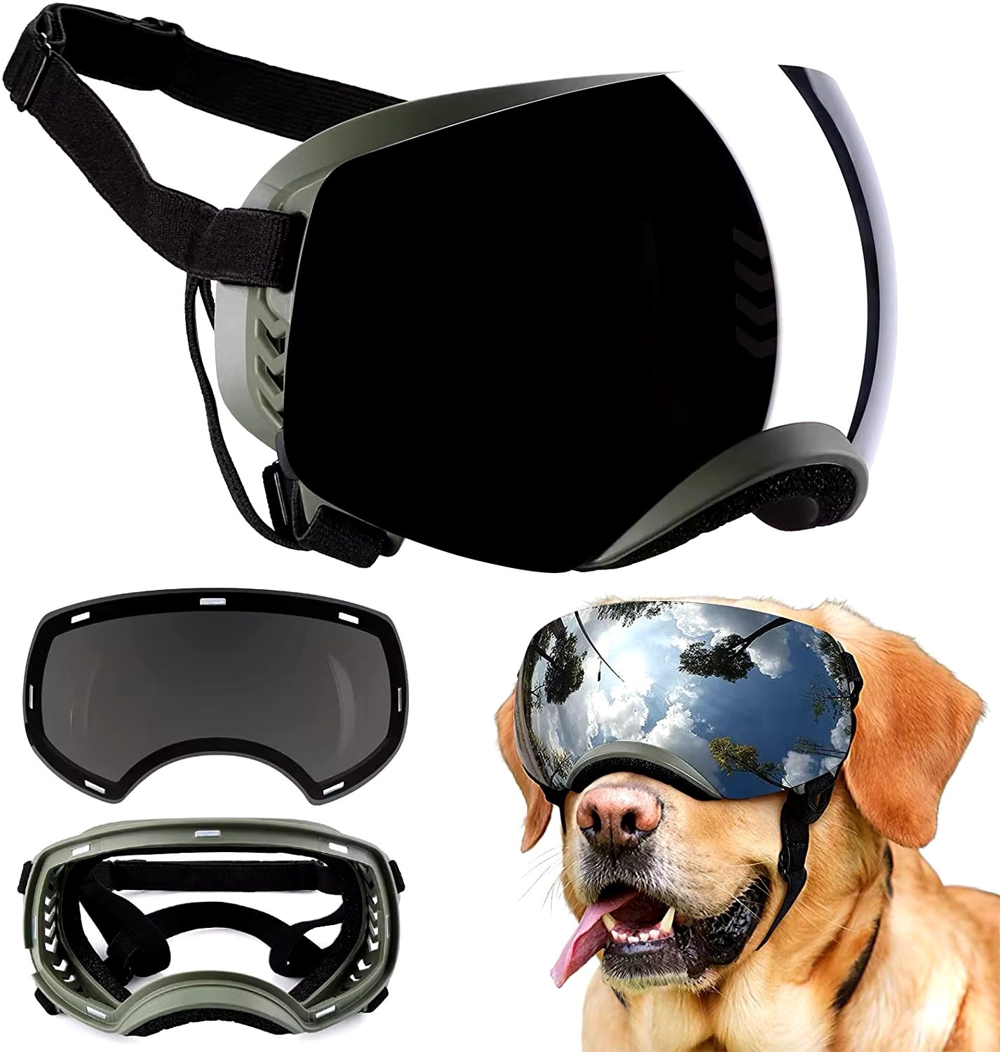 Lunette de protection pour chien - Gros-Chien.com