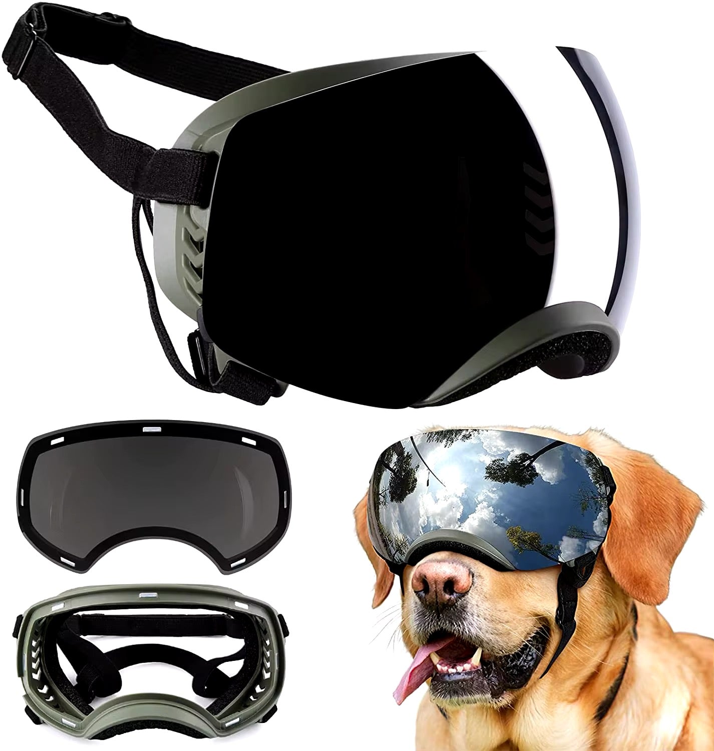 Lunette de protection pour chien