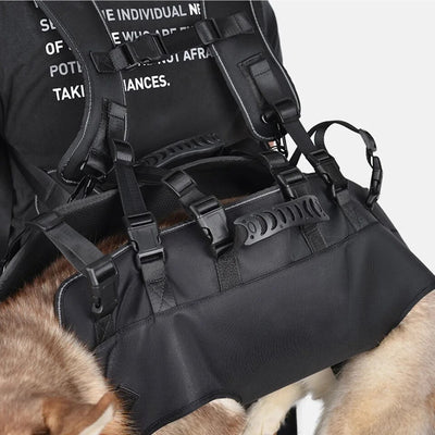 harnais hélitreuillage sac à dos pour porter chien - Gros-Chien.com