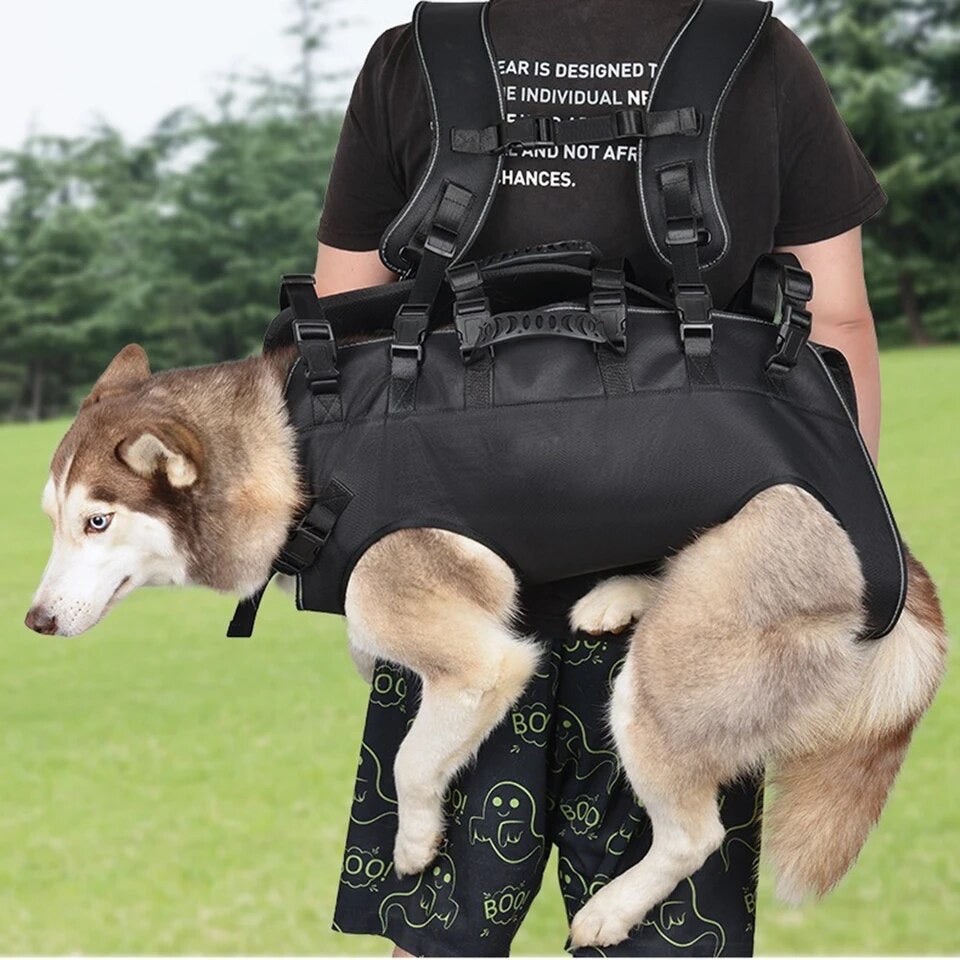 harnais hélitreuillage sac à dos pour porter chien 