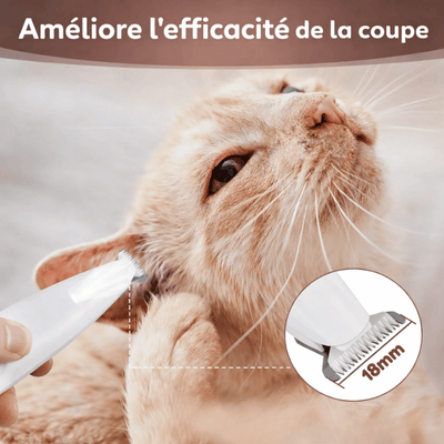 https://cdn.shopify.com/s/files/1/0489/2898/1148/files/9_88c106ff-cbe0-4974-9ab4-fea268467f60.png?v=1767684853