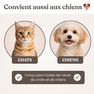 https://cdn.shopify.com/s/files/1/0489/2898/1148/files/9_fea45548-b259-4712-b352-21e740a1d7c4.jpg?v=1771932702