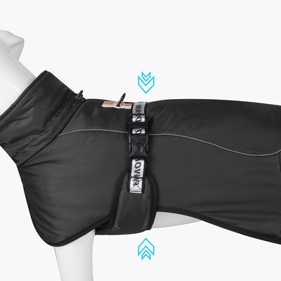 https://cdn.shopify.com/s/files/1/0489/2898/1148/files/9ac3ae0d-5a61-45ea-afe2-d19c2a35dc53.jpg?v=1755752280
