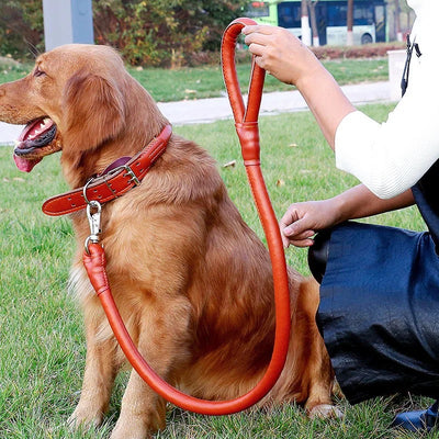 Collier Laisse en Cuir Rond - Gros-Chien.com