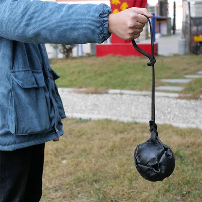 Ballon en cuir pour chien