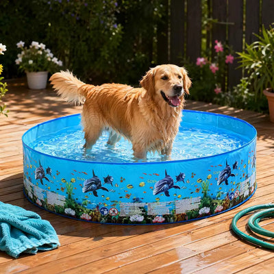 Piscine pour Chien Ronde Grande Taille 122 à 244 cm