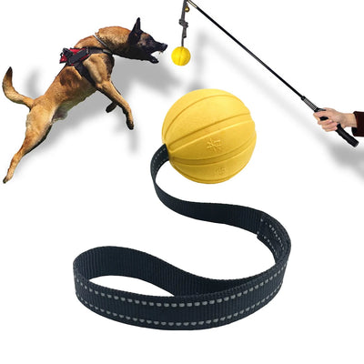 Balle Corde Flottante Mousse EVA Gros Chien