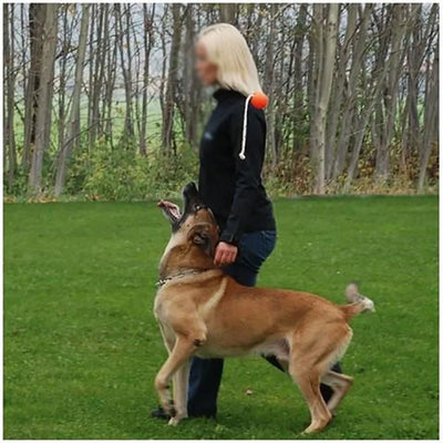 Balle Magnétique Entraînement Gros Chien Avec Corde