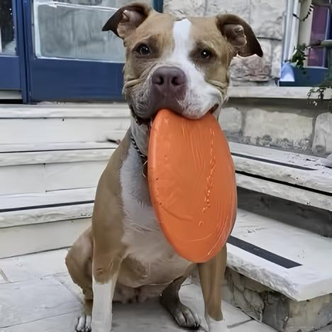 FRISBEE CHIEN SOUPLE