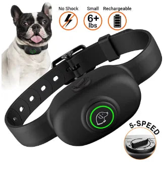 Collier Dressage Étanche Anti-Aboiement Gros Chien