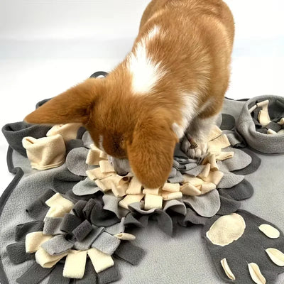 Tapis de Fouille Patte 60x60 cm pour Chien