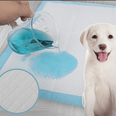 https://cdn.shopify.com/s/files/1/0763/9767/4819/files/Aleses_jetables_pour_chiens.png?v=1729265232