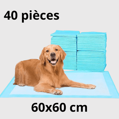 https://cdn.shopify.com/s/files/1/0763/9767/4819/files/Aleses_jetables_pour_chiens_40pcs.png?v=1729265271