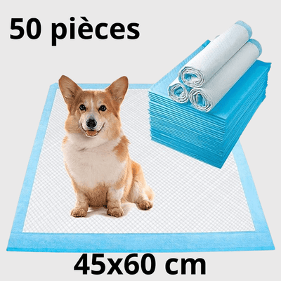 https://cdn.shopify.com/s/files/1/0763/9767/4819/files/Aleses_jetables_pour_chiens_50pcs.png?v=1729265285