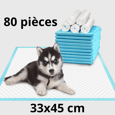 https://cdn.shopify.com/s/files/1/0763/9767/4819/files/Aleses_jetables_pour_chiens_80pcs.png?v=1729265314