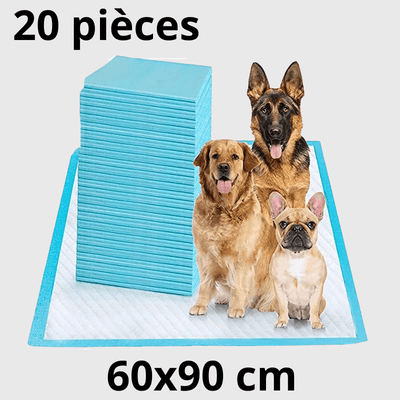 https://cdn.shopify.com/s/files/1/0763/9767/4819/files/Aleses_jetables_pour_chiens__20pcs.png?v=1729265256