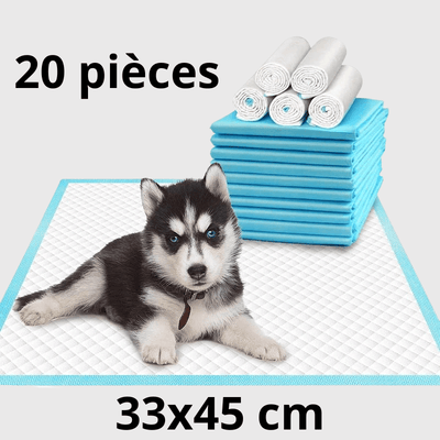 https://cdn.shopify.com/s/files/1/0763/9767/4819/files/Aleses_jetables_pour_chiens_chiot.png?v=1729265346