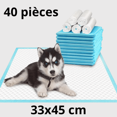 https://cdn.shopify.com/s/files/1/0763/9767/4819/files/Aleses_jetables_pour_chiens_husky.png?v=1729265245