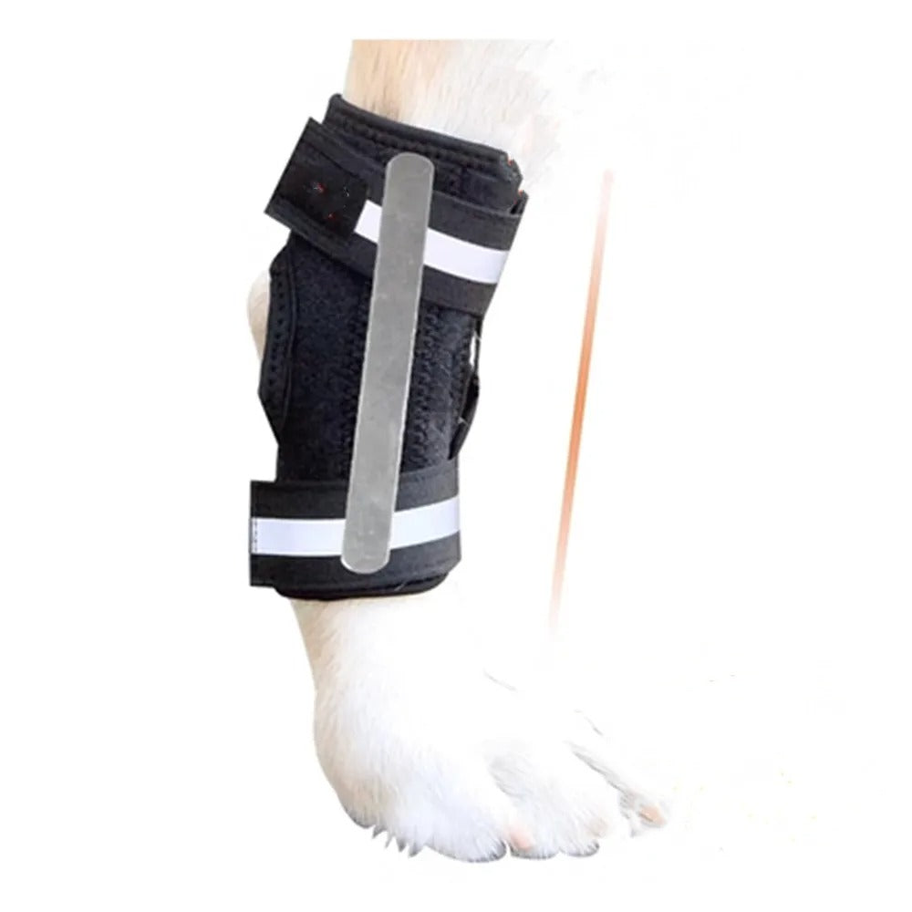 Attelle pour luxation rotule chien - Gros-Chien.com