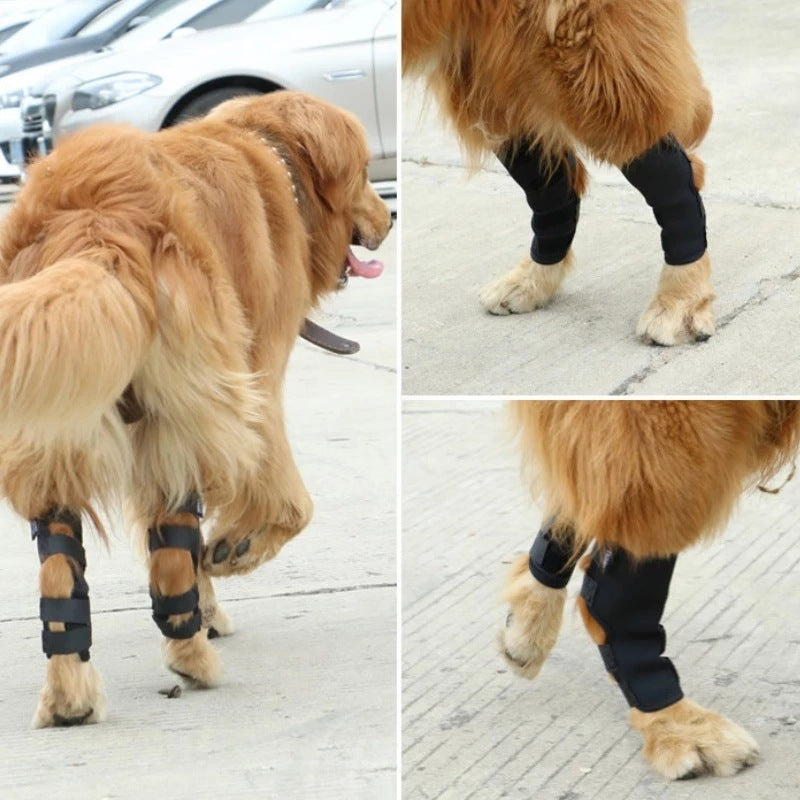 Attelles Pour Chiens Patte Arri re Et Patte Avant Gros Chien attelles-pour-chiens-patte-arri-re-et-patte-avant-gros-chien