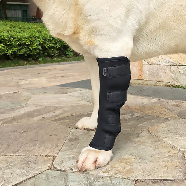 Manchon De Convalescence Pour Chien - Protection Coude/patte, Anti-léchage, Taille XL