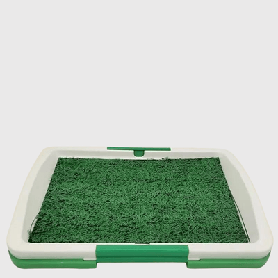 https://cdn.shopify.com/s/files/1/0763/9767/4819/files/Bac_litiere_pour_chien_vert.png?v=1749139538