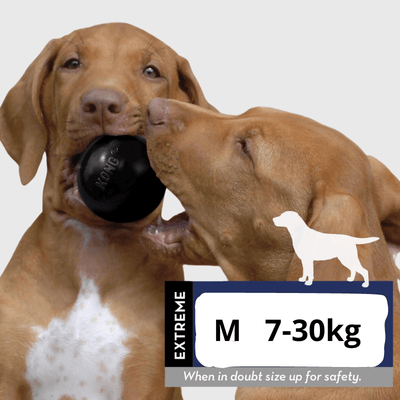 https://cdn.shopify.com/s/files/1/0763/9767/4819/files/Balle_Kong_pour_chien_braque.png?v=1699543197