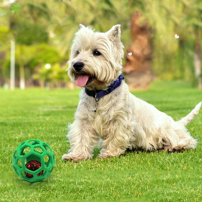https://cdn.shopify.com/s/files/1/0763/9767/4819/files/Balle_a_friandise_pour_chien_chien_avec_la_bamme_verte.jpg?v=1699378381