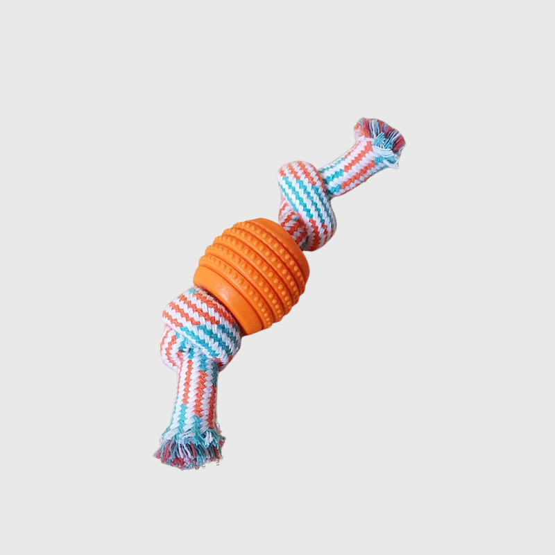 https://cdn.shopify.com/s/files/1/0763/9767/4819/files/Balle_avec_corde_pour_chien_orange.png?v=1748614037