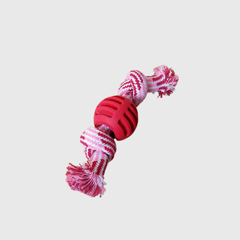 https://cdn.shopify.com/s/files/1/0763/9767/4819/files/Balle_avec_corde_pour_chien_rouge.png?v=1748614037