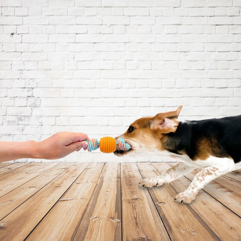 https://cdn.shopify.com/s/files/1/0763/9767/4819/files/Balle_avec_corde_pour_chien_tire_entre_main_et_chien.jpg?v=1748614037