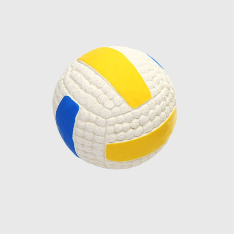 https://cdn.shopify.com/s/files/1/0763/9767/4819/files/Balle_rebondissante_de_volley_pour_chien_exterieur.png?v=1748613447