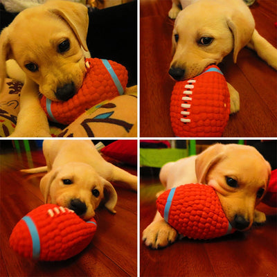 https://cdn.shopify.com/s/files/1/0763/9767/4819/files/Balle_rebondissante_football_americain_pour_chien_demo_chiens.jpg?v=1744820960