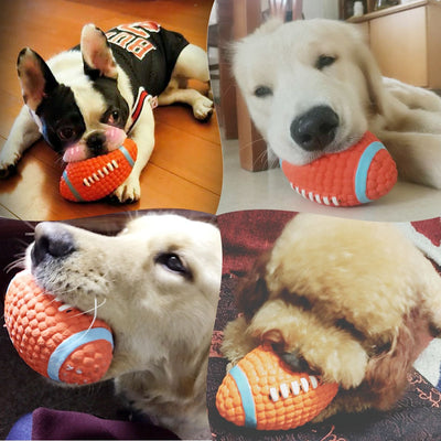 https://cdn.shopify.com/s/files/1/0763/9767/4819/files/Balle_rebondissante_football_americain_pour_chien_reel_photo.jpg?v=1744820960