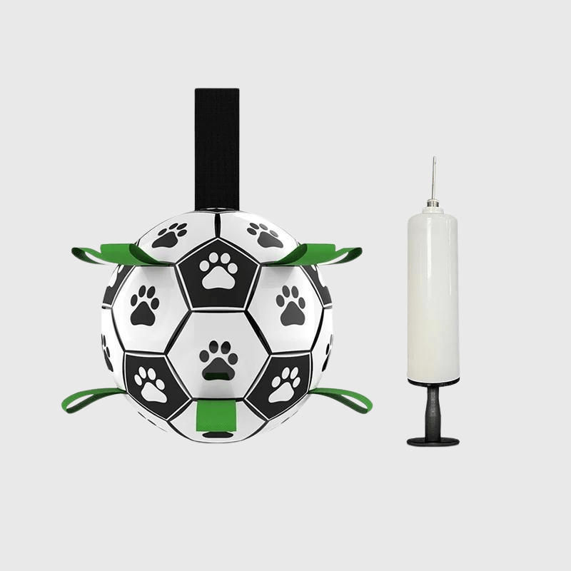 https://cdn.shopify.com/s/files/1/0763/9767/4819/files/Ballon_avec_anse_pour_chien_shiba.png?v=1749651059