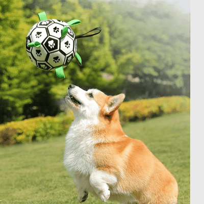 https://cdn.shopify.com/s/files/1/0763/9767/4819/files/Ballon_avec_anse_pour_chien_corgi.png?v=1749651059