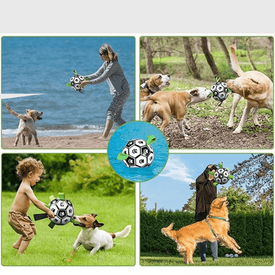 https://cdn.shopify.com/s/files/1/0763/9767/4819/files/Ballon_avec_anse_pour_chien_demo.png?v=1749651059
