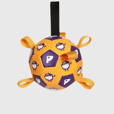 https://cdn.shopify.com/s/files/1/0763/9767/4819/files/Ballon_avec_anse_pour_chien_dinosaur.png?v=1749651059