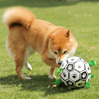 https://cdn.shopify.com/s/files/1/0763/9767/4819/files/Ballon_avec_anse_pour_chien_shiba.png?v=1749651059