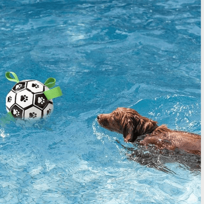 https://cdn.shopify.com/s/files/1/0763/9767/4819/files/Ballon_avec_anse_pour_chien_waterproof.png?v=1709567982