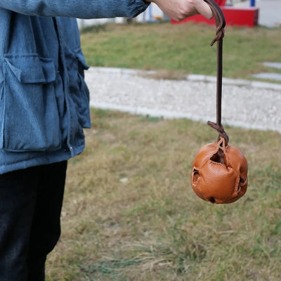 Ballon en cuir pour chien