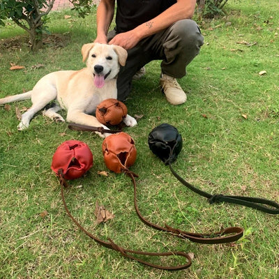 Ballon en cuir pour chien